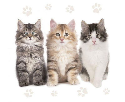 Papirnate salvete - Točkice, bijele boje